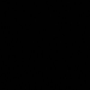 Meet your Posher, Miles